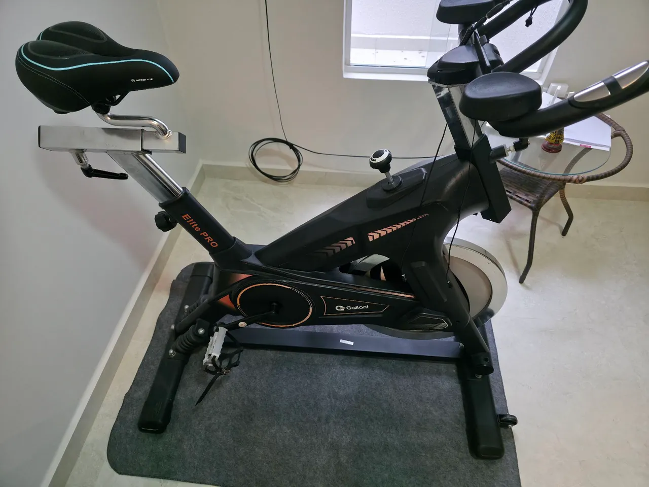 Bicicleta Ergométrica Gallant Elite Pro