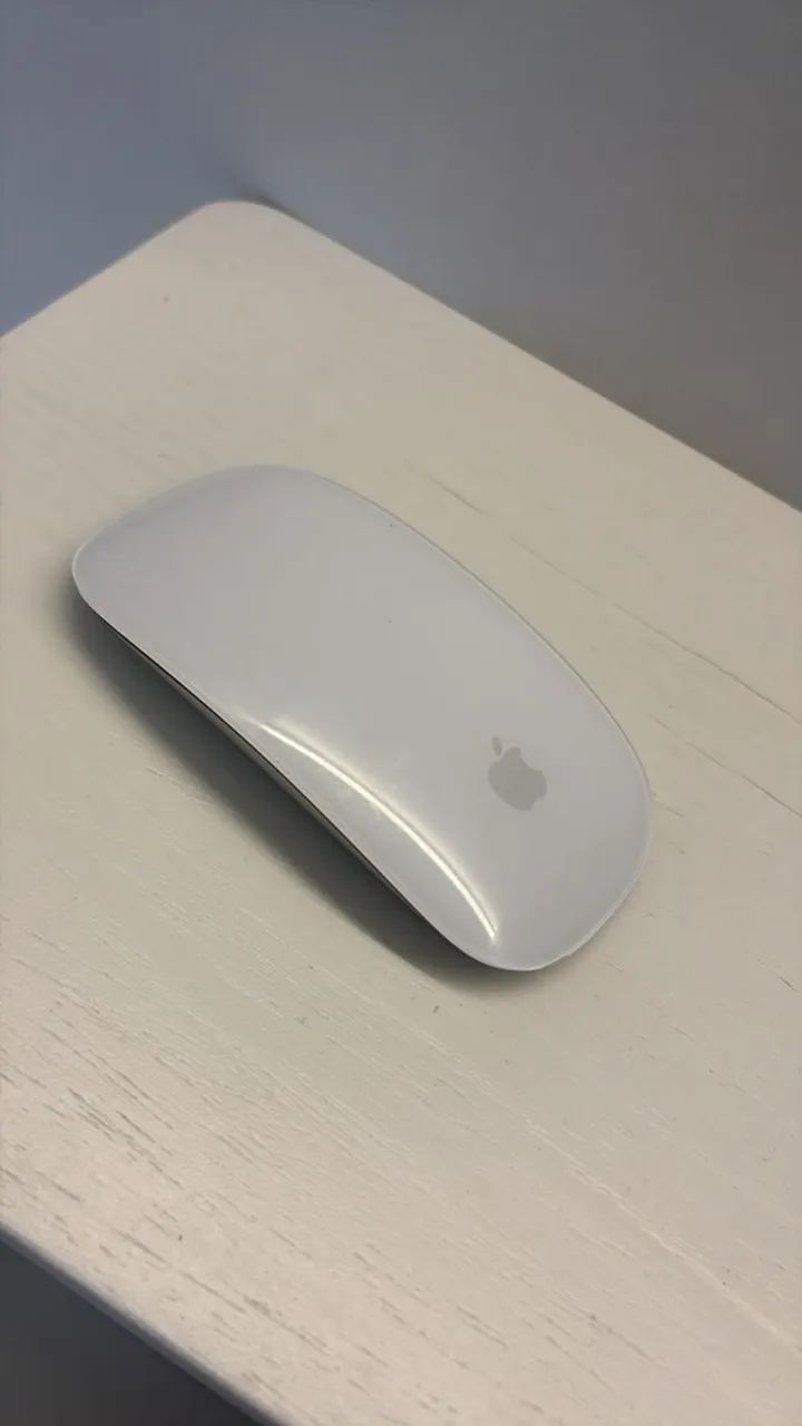 Mouse Magic Mouse 2