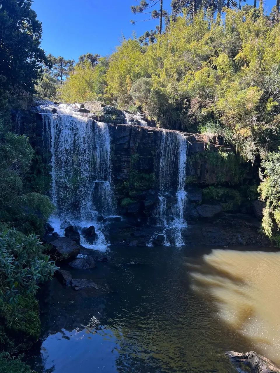 PARAÍSO À VENDA NA SERRA CATARINENSE