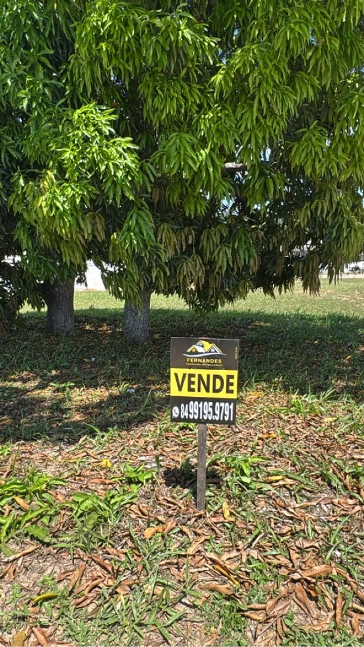 YBY oportunidade! Leia o anúncio  - Foto 2
