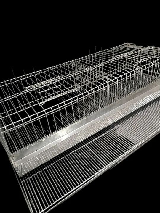 Gaiola para Codorna  - Foto 2