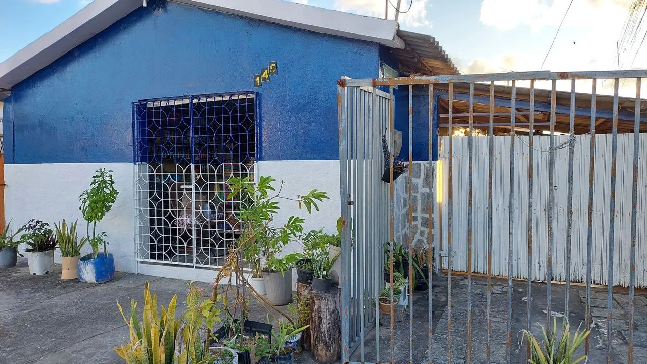 foto - João Pessoa - Oitizeiro