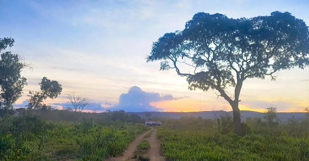 Sítio na Região da Serra de São Vicente MT.