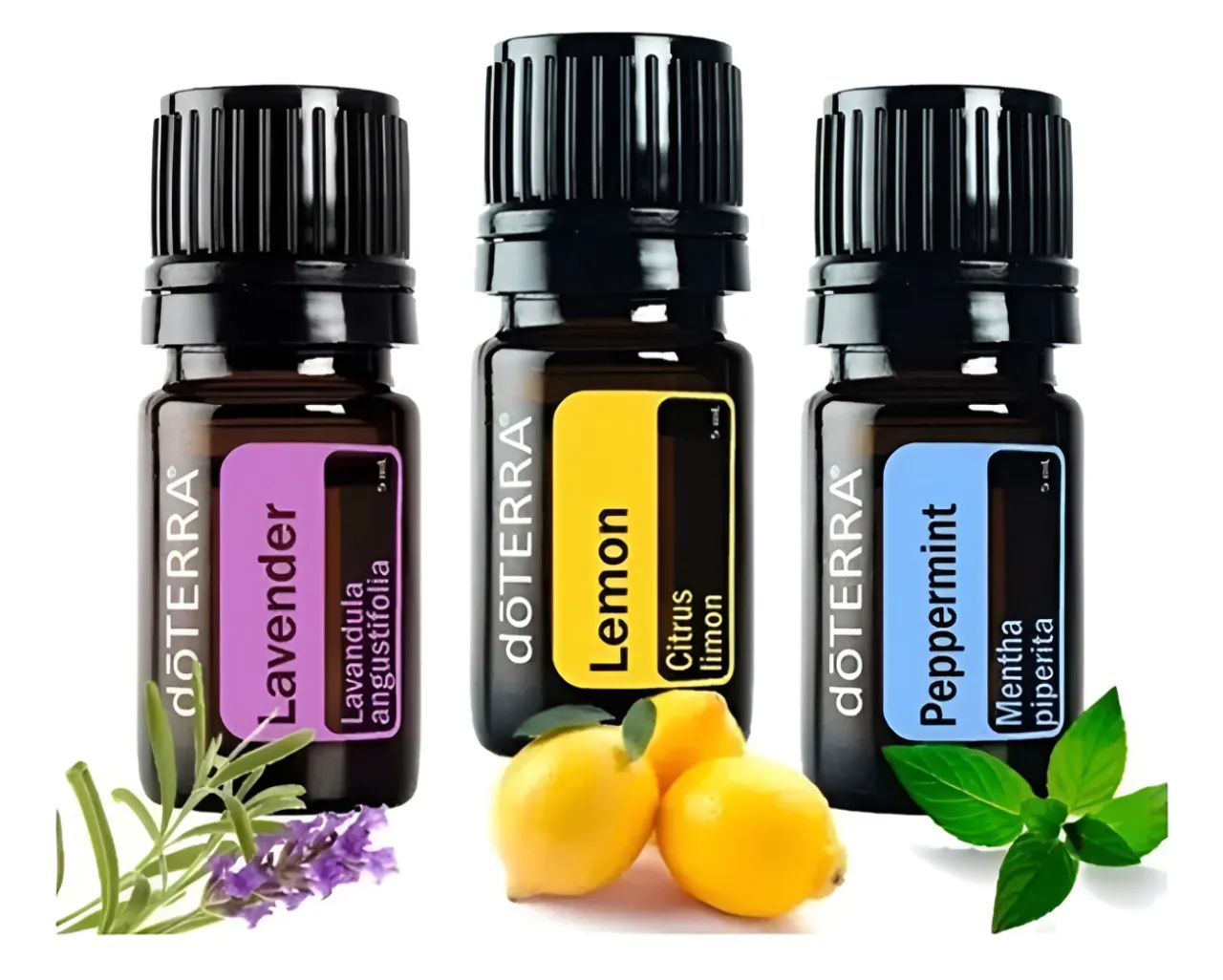 Doterra Kit Apresentação 3 Óleos Peppermint Lavanda E Lemon 5ml