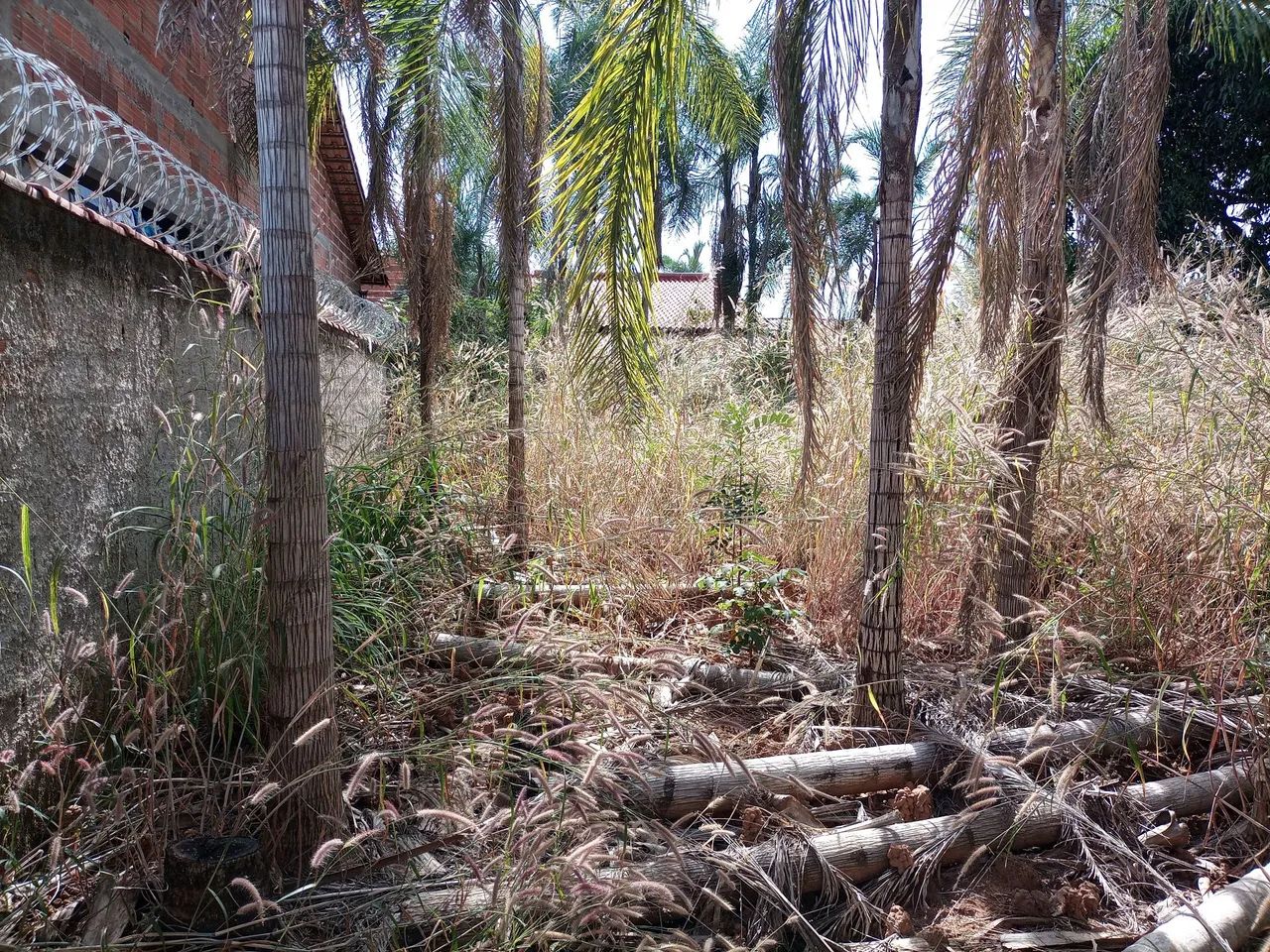 Vendo lote Jardim dos Ipês Uruaçu GO. - Foto 3