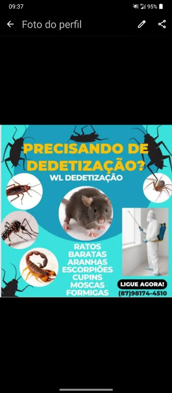 Serviço de dedetização