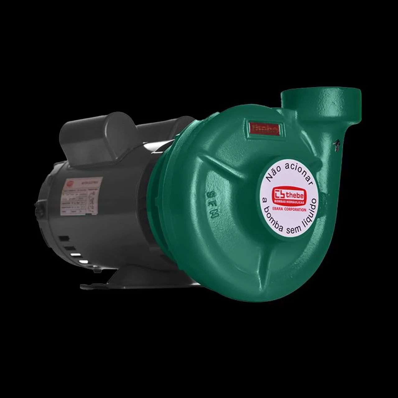 BOMBA CENTRÍFUGA 2CV MON 127/220V VAZÃO MAX 31 THB-13 THEBE