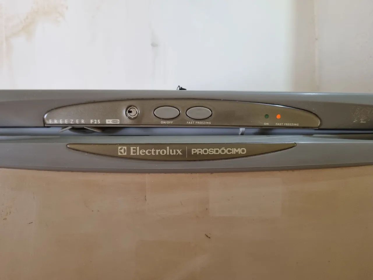 Freezer Electrolux Prosdocimo F25