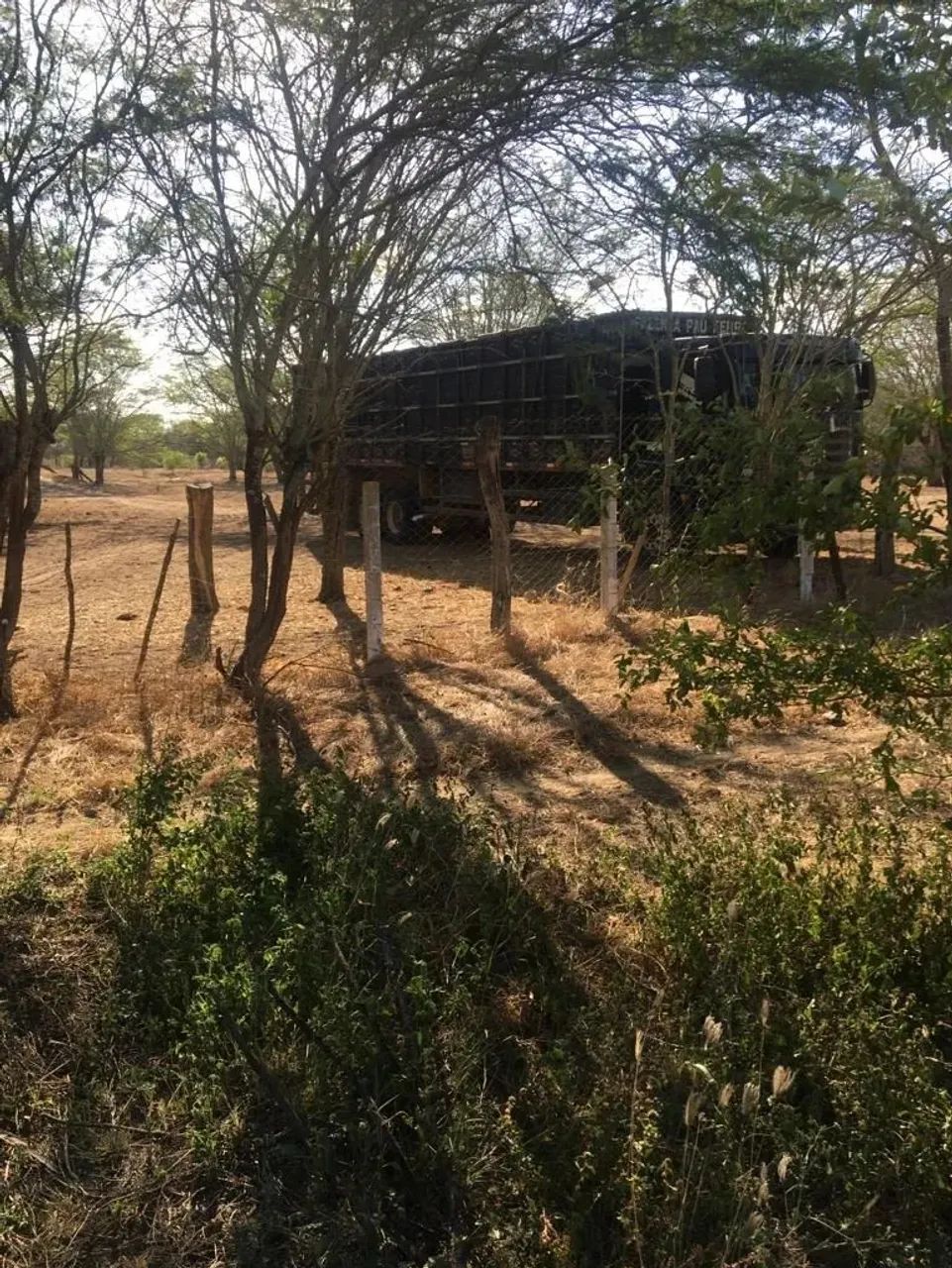 Fazenda 300 hec, BR 232 Passando Dentro, São Caetano, Vendo Desmembrada, Valor p/hec - Foto 10