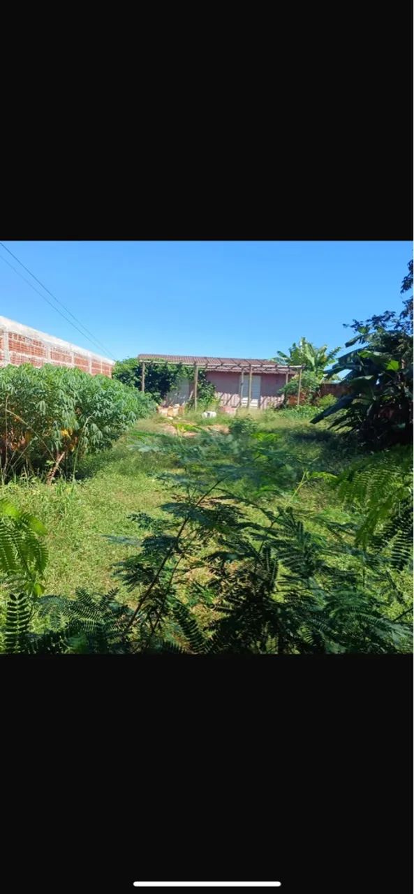 Venda  - Foto 2