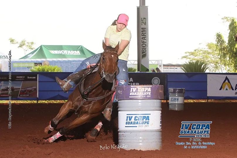 VENDE SE CAVALO PRONTO EM 3 TAMBORES  - Foto 3