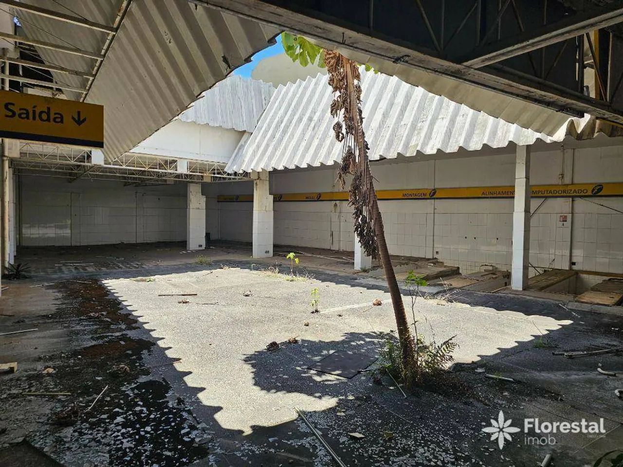 Lojão na Avenida Centenário, com 943m², para venda ou locação - Foto 3