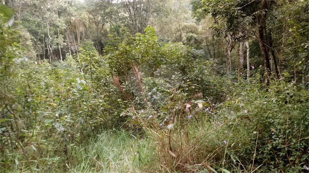 Terreno à venda em Barreiro - SP