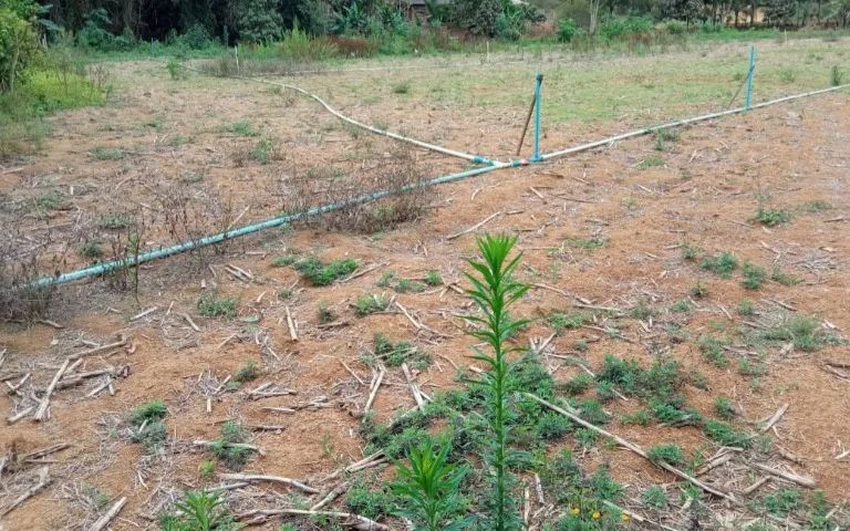 Sitio Grande área plana em Rio possmoser