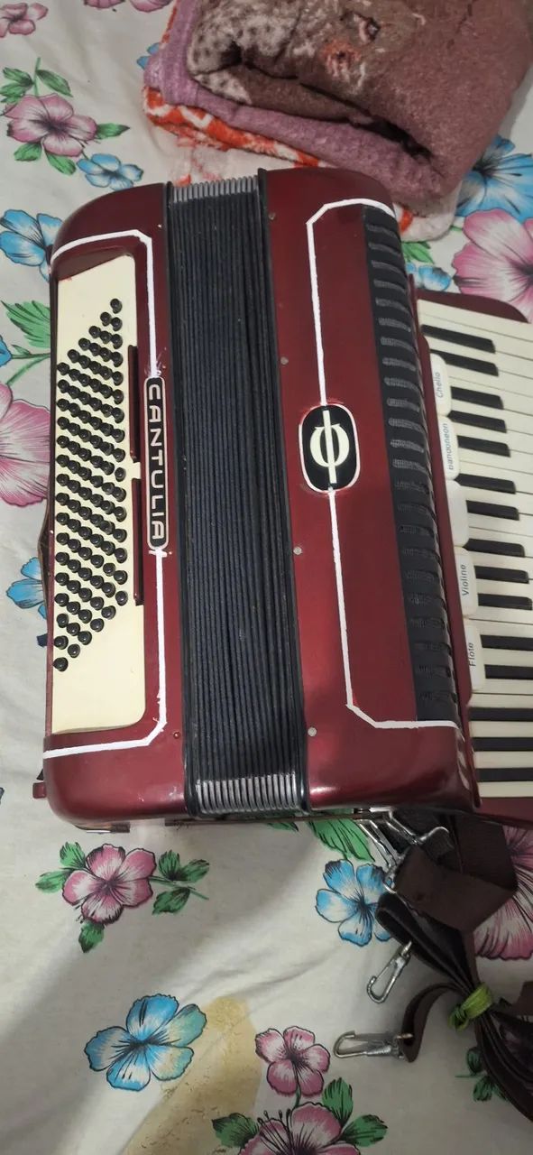 Acordeon  - Foto 4