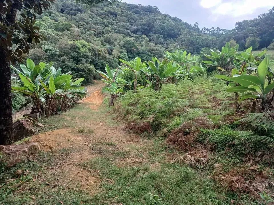 Sítio para venda tem 2 hectares  em Santa Izabel - Águas Mornas - SC - Foto 3