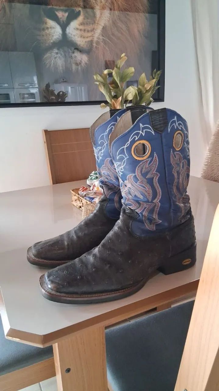 Bota DGO 