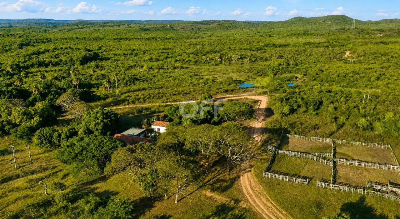 fazenda - Vale das Cancelas - Grão Mogol - Foto 3