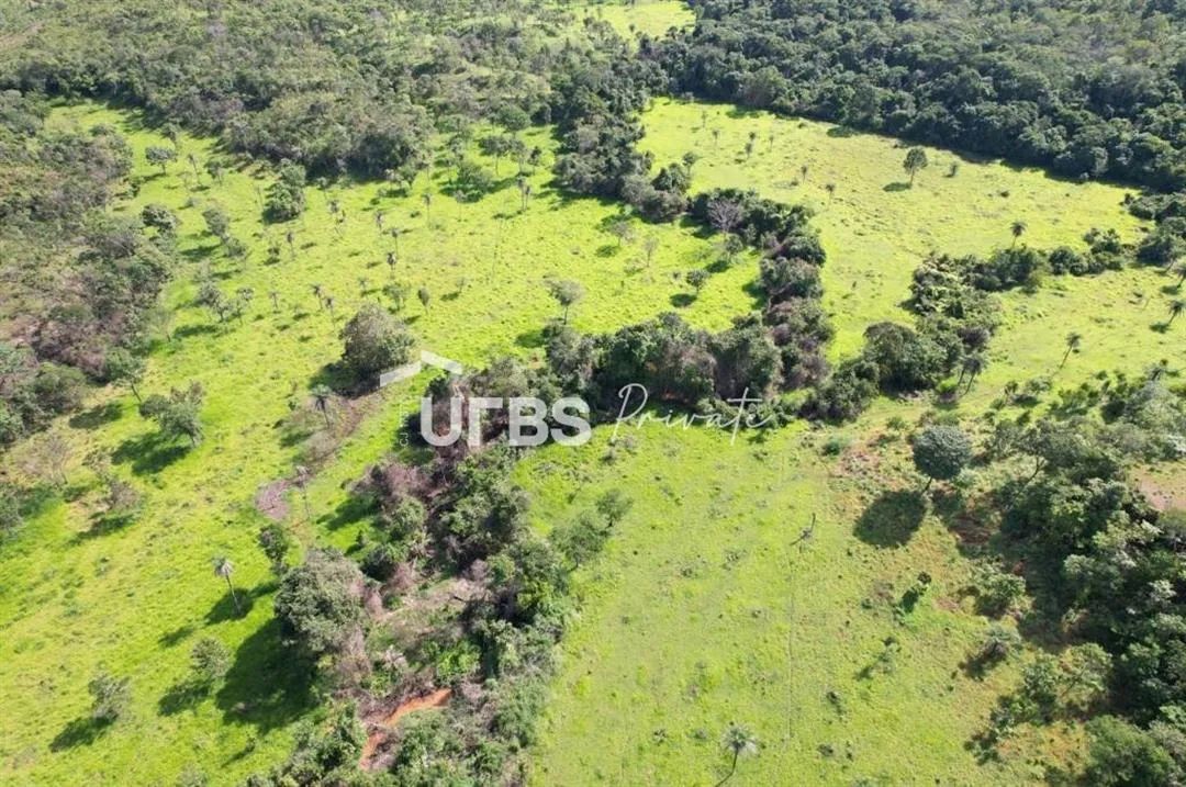 Fazenda - Chácara - Foto 2