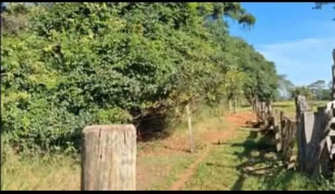 Área Verde Sitio Terra Amada - Foto 3