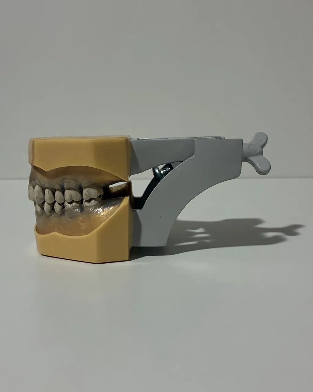 Manequim de periodontia MOM código 2040 - Foto 4