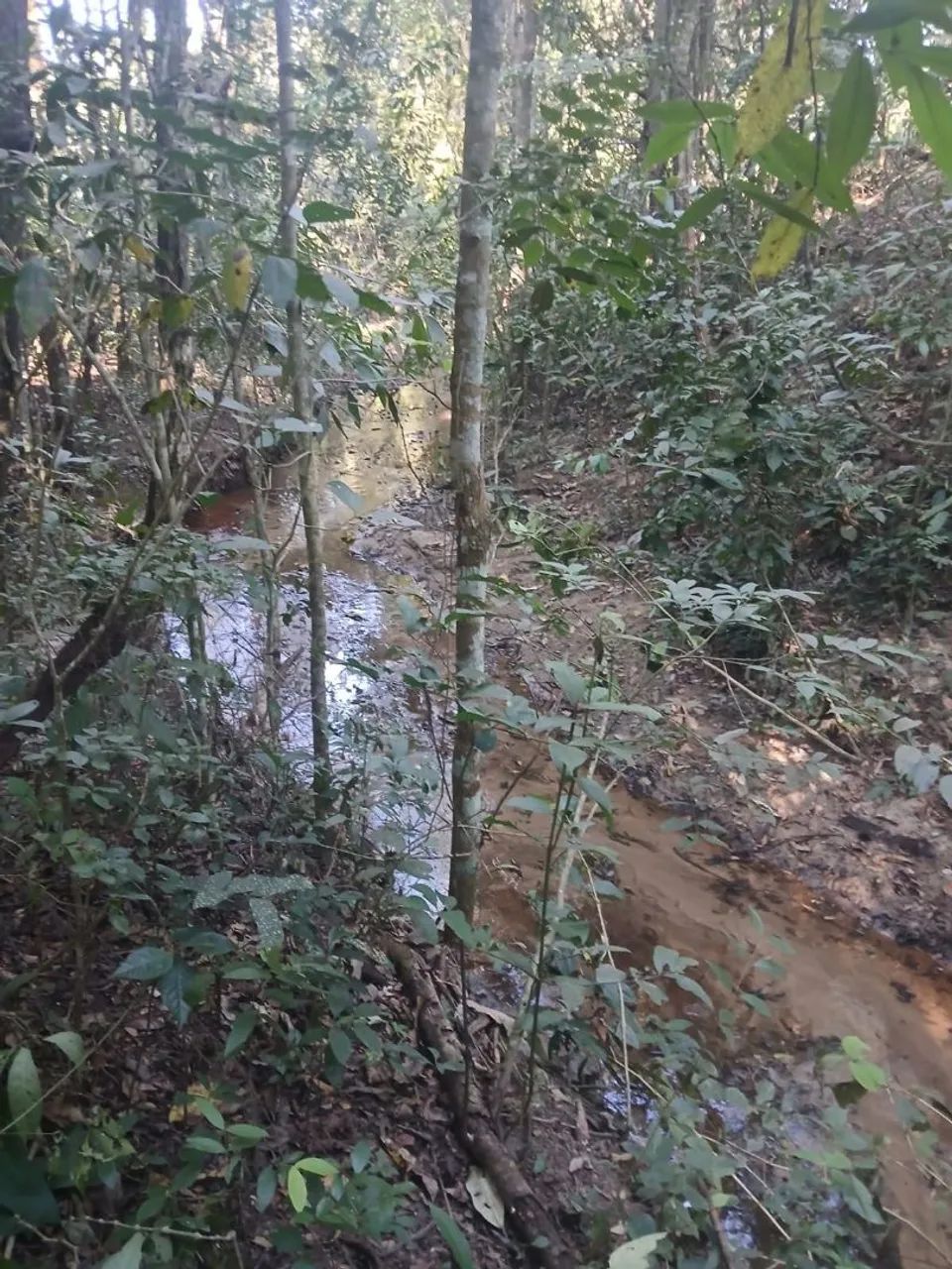 Vendo chacara  com muito verde  e água no fundo  - Foto 2