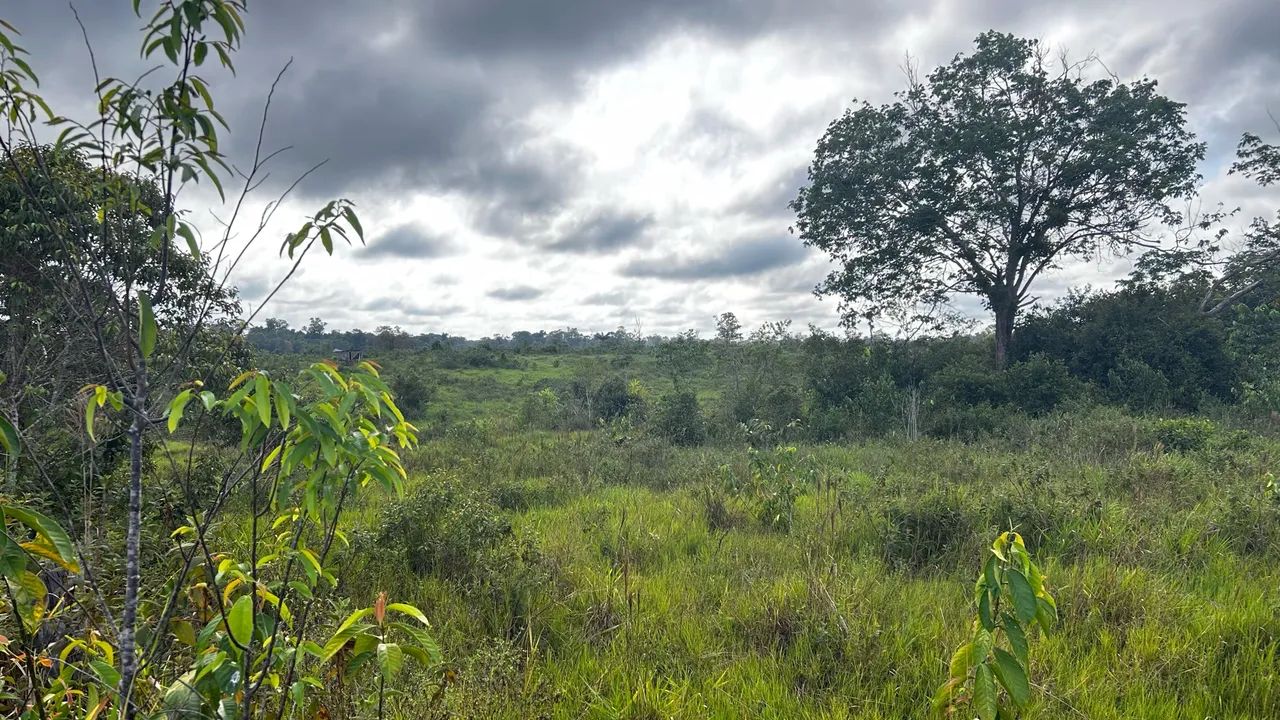 Vende-se  - Foto 4