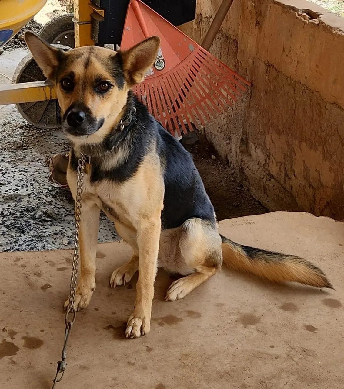 Doacao urgente  - Foto 4