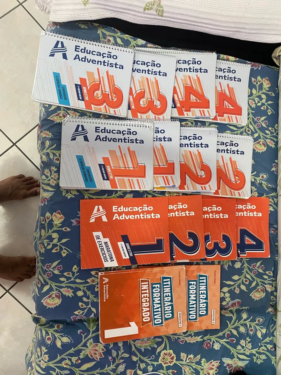 Livros didáticos 