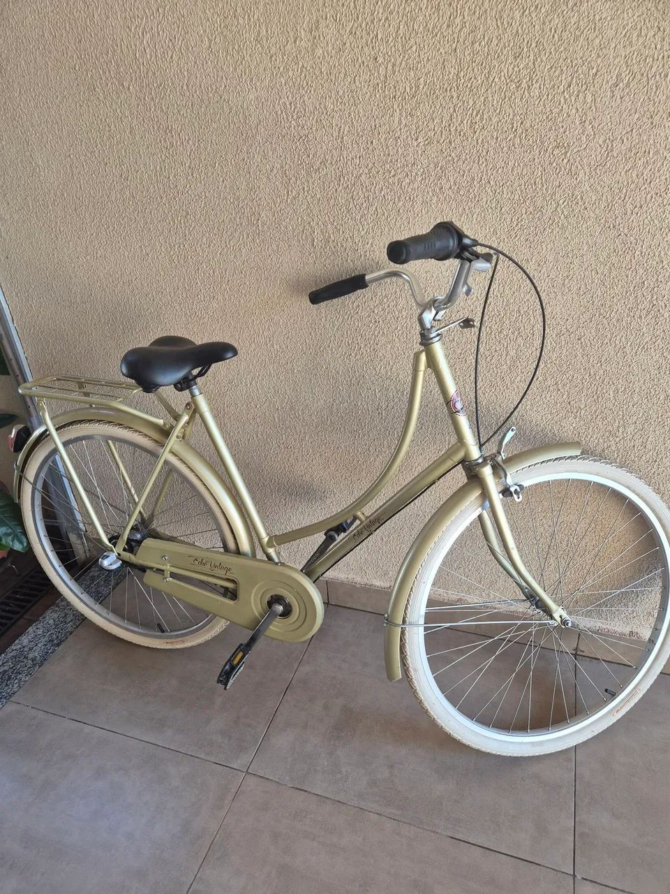 Bicicleta Echo Vintage 