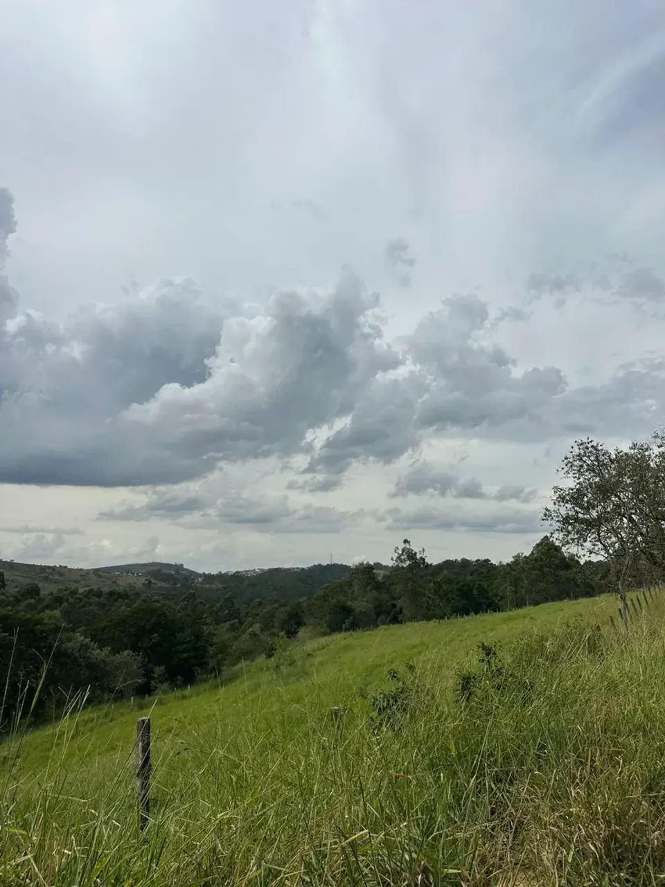 Lotes com Nascente Natural | Um Diferencial Raro - Foto 5