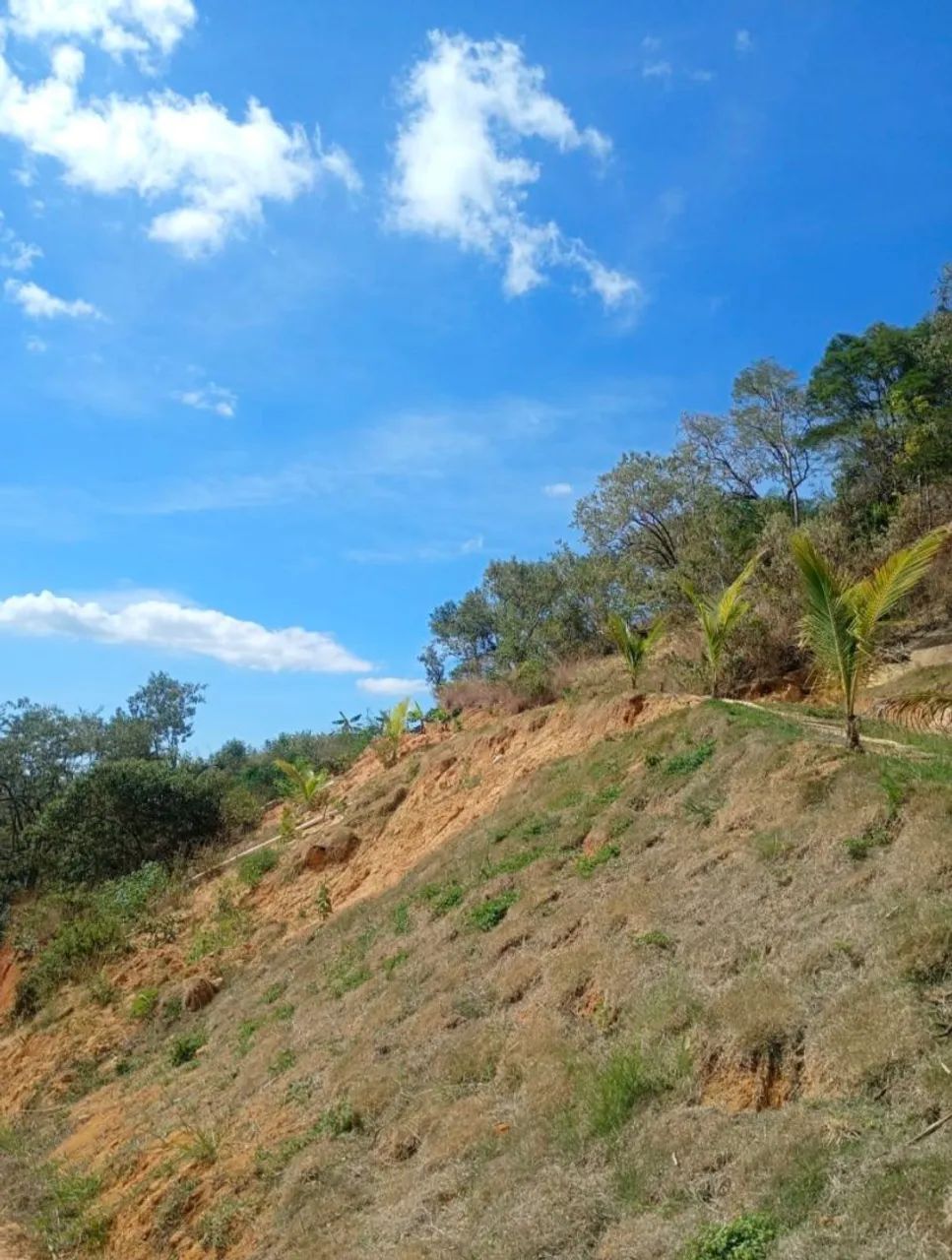 Terreno em Santa Leopoldina  - Foto 5