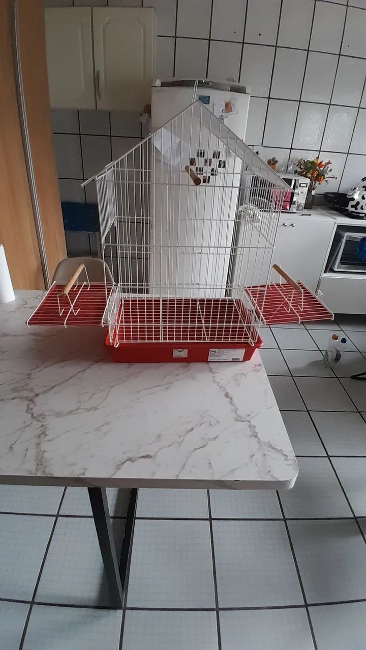 Gaiola para calopsita 200 reais  - Foto 2
