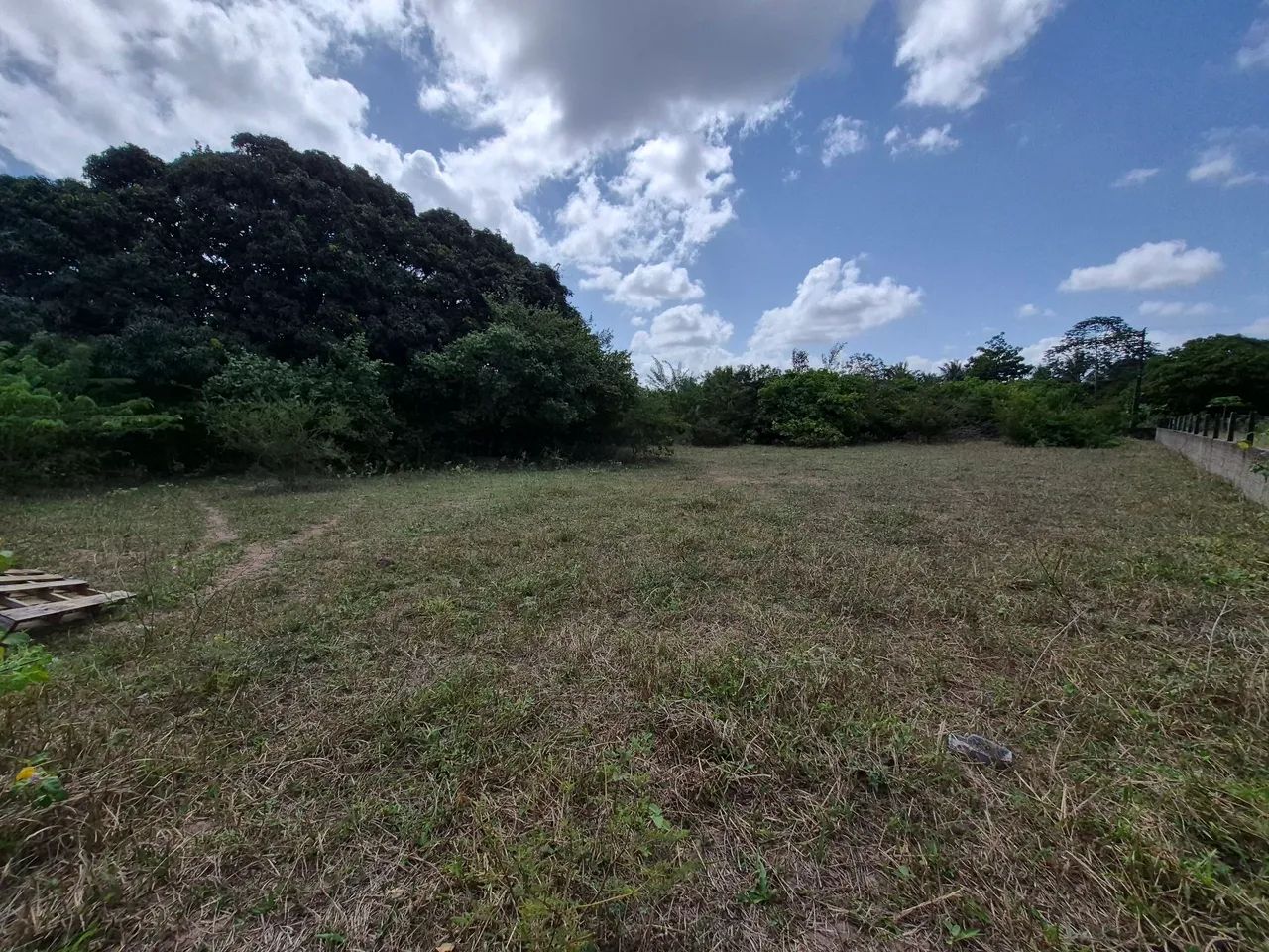 Vendo Terreno 40 x 53 - Foto 2