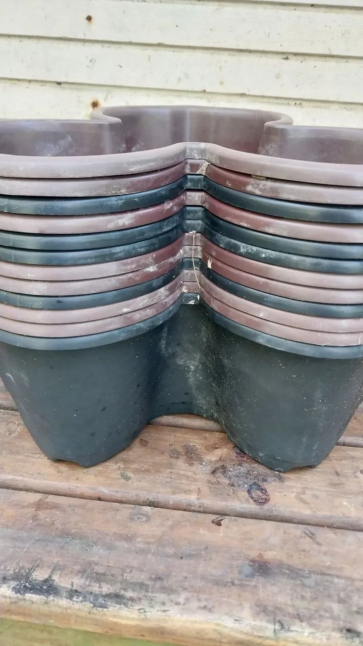 Vasos Plásticos Usados