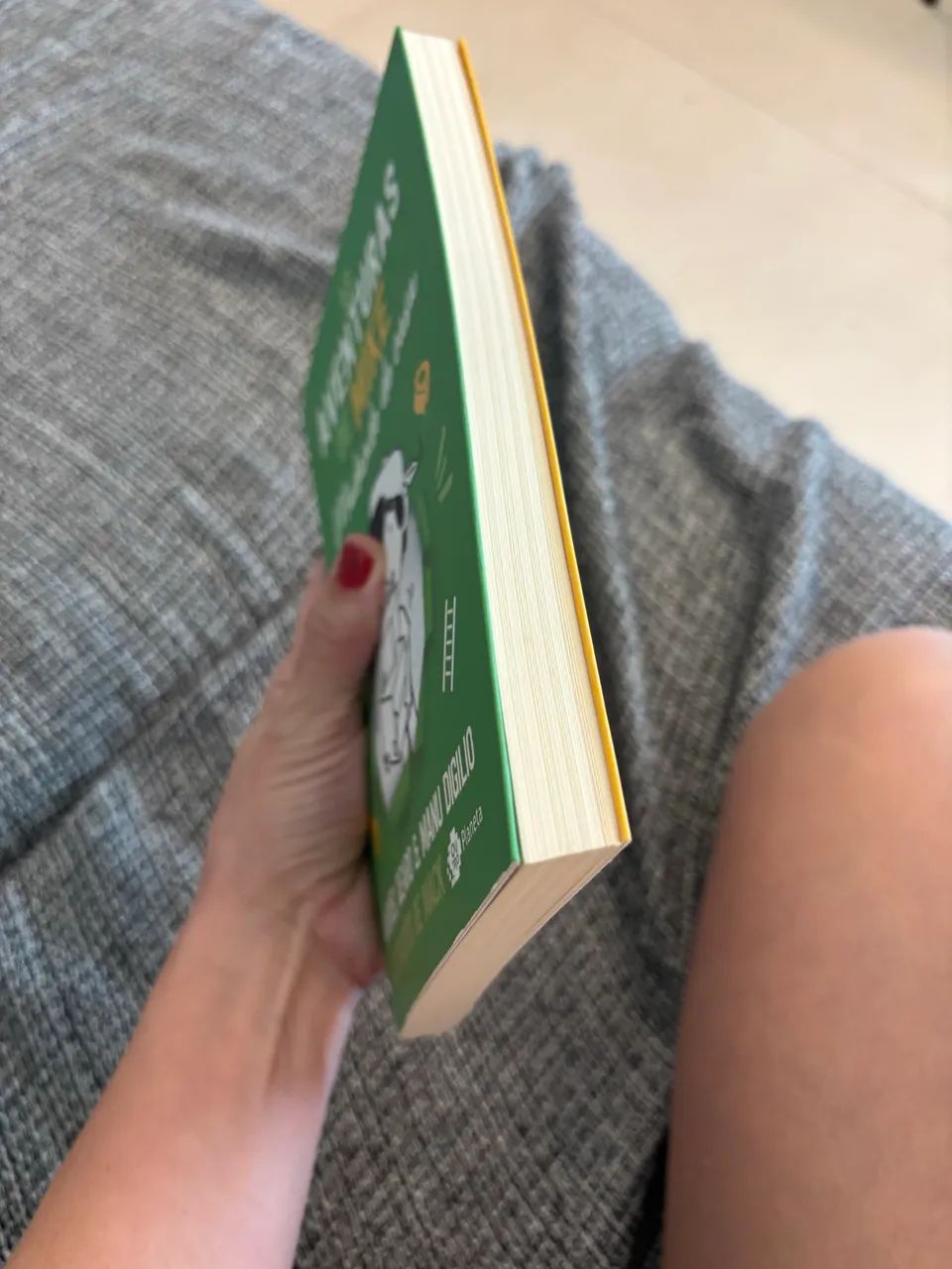 Livro as aventuras de Mike