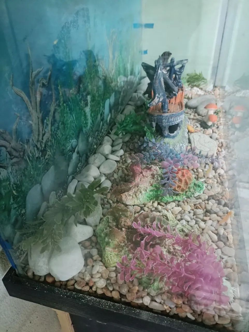Aquário com estante  - Foto 3