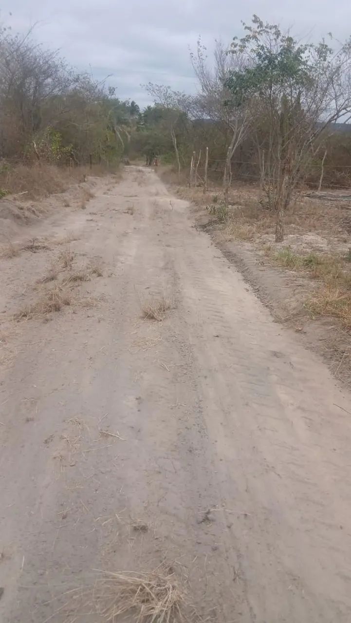Área para sitio.