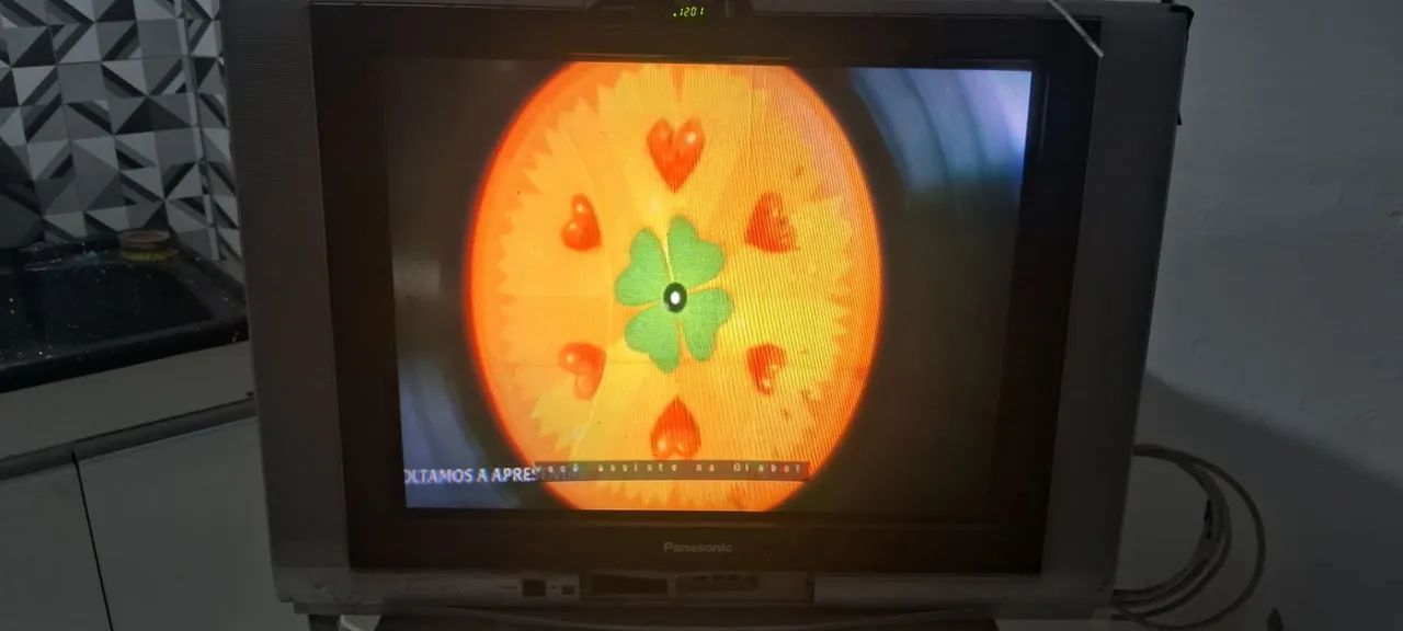 TV PANASONIC 29 POLEGADAS  - Foto 3