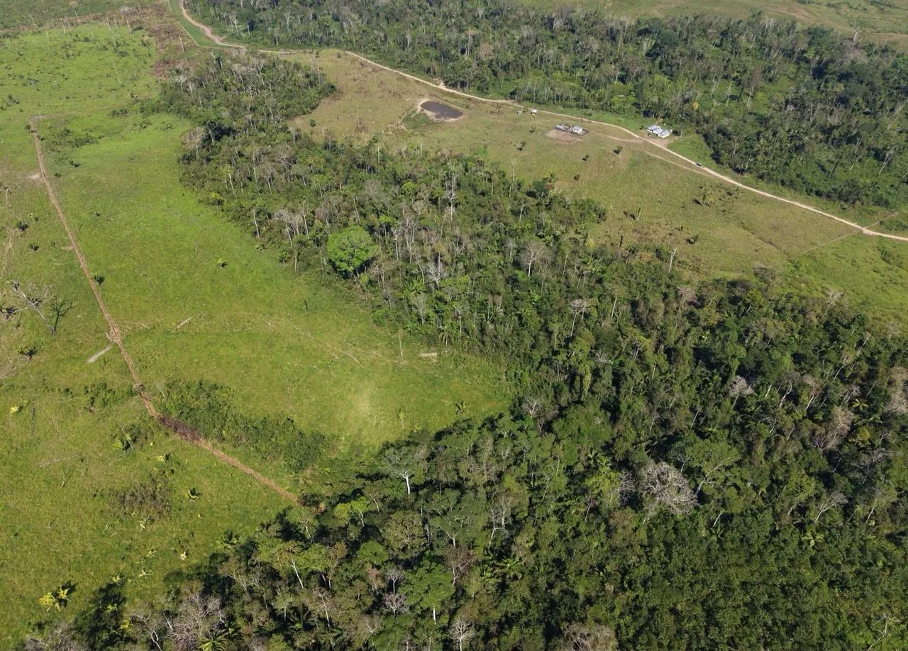 TERRA À VENDA EM FEIJÓ  - Foto 4