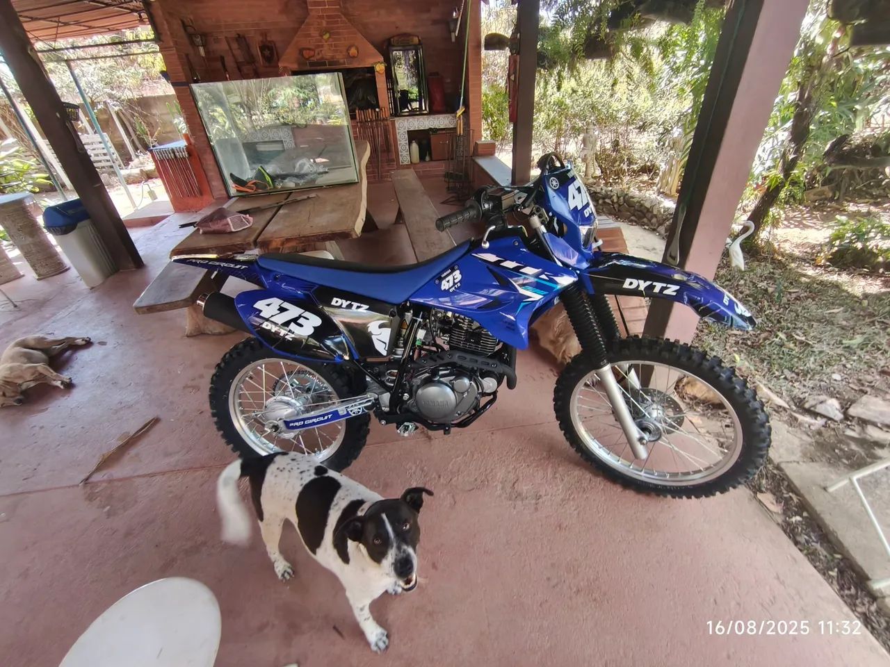 Yamaha TTR 230 2025/2026. - Foto 4
