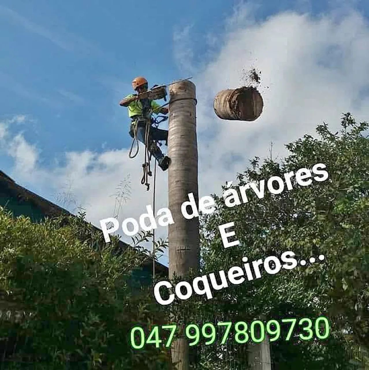 Serviço doméstico para podas de árvores 