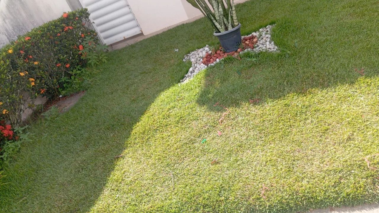 Jardinagem e limpeza de terrenos - Foto 4