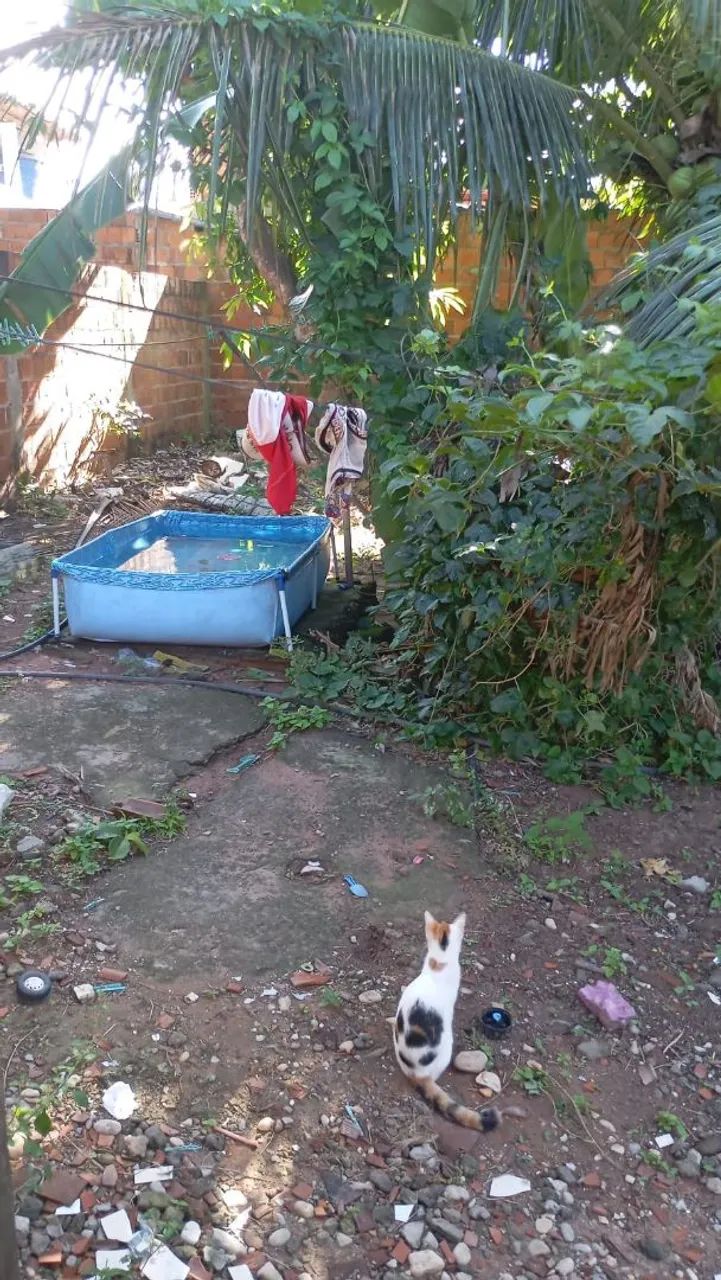 Casa - Foto 3