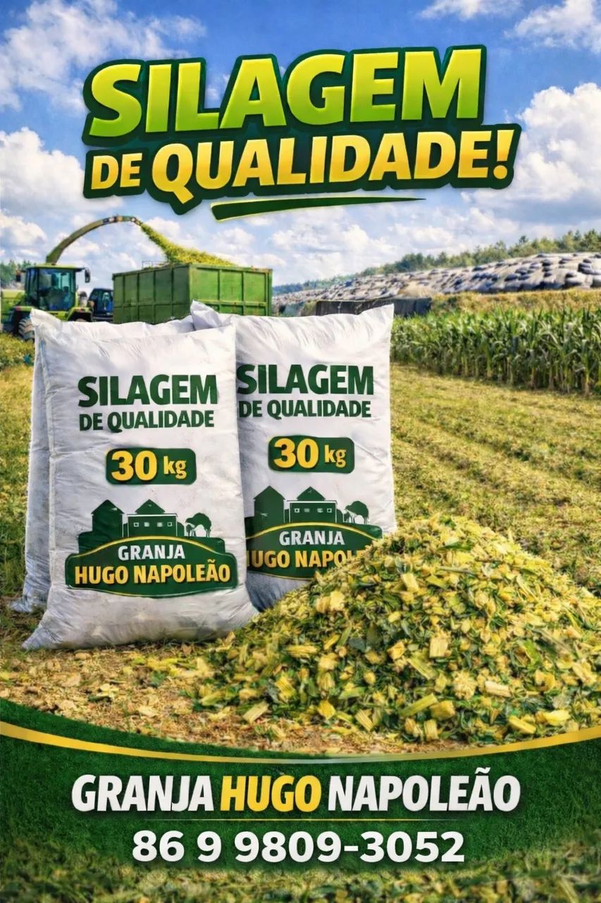 Silagem - saco 30KG - Foto 2