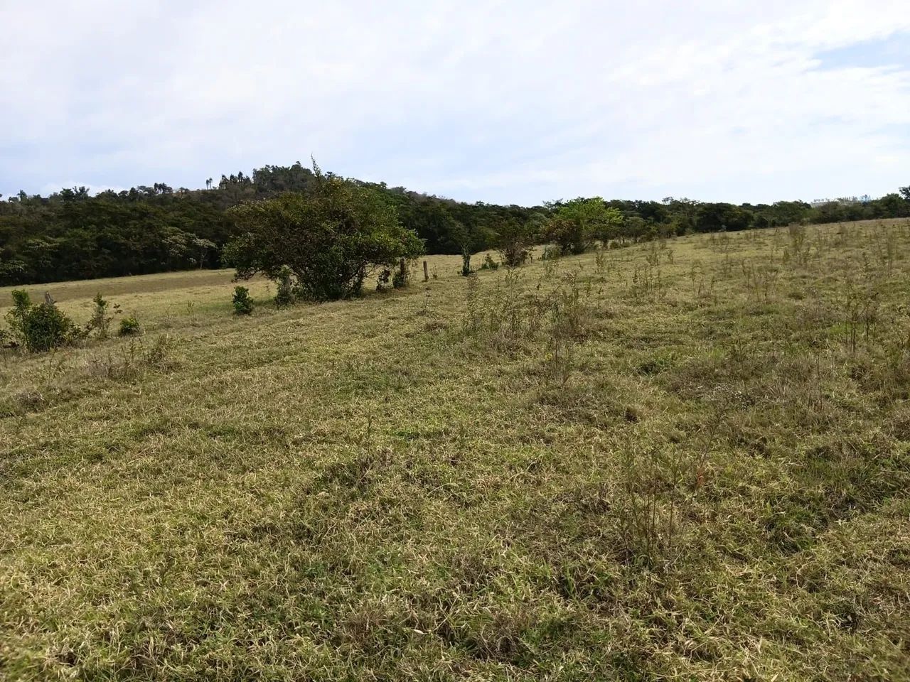 FAZENDA 53 ha EM IGUATAMA - Foto 3