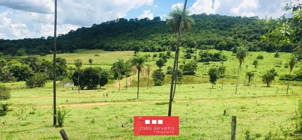 Fazenda para Venda em Caturaí - Foto 4