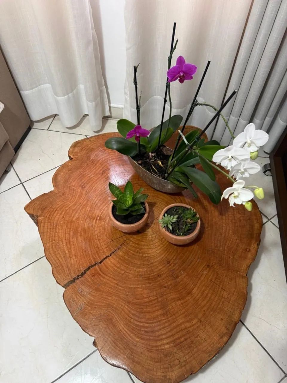 MESA DE CENTRO  TRONCO DE ÁRVORE