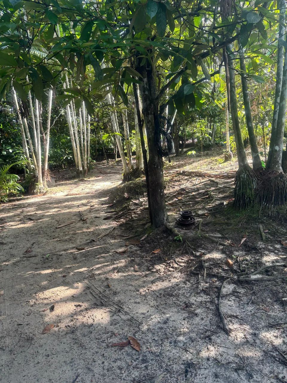 SÍTIO ALÇA VIÁRIA KM 37 - Foto 5