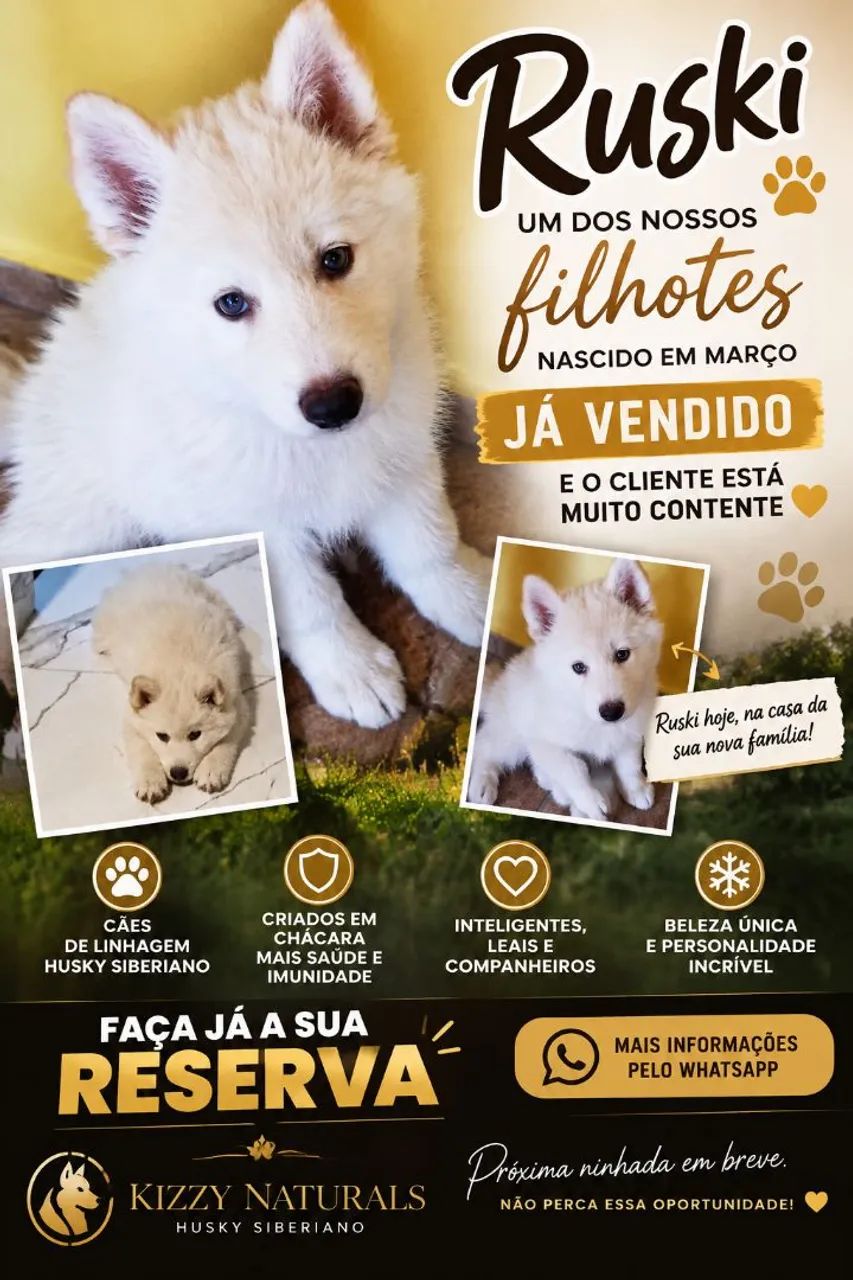 HUSKY SIBERIANO  - Foto 2